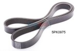 JAPKO Soonrihm 5PK975