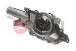 JPN  Veepump, mootori jahutus 10C9061-JPN