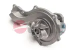 JPN  Veepump, mootori jahutus 10C9080-JPN