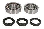 HOT RODS K046 HR / crankshaft bearings with seals fits: honda trx 450 2004-2005