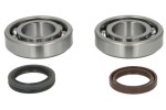 HOT RODS K074 HR / crankshaft bearings with seals fits: suzuki rm-z 250 2010-2016
