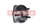 KAMOKA  Rattalaagrikomplekt 5500055