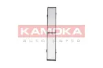 KAMOKA  Filter,salongiõhk F410601