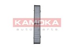 KAMOKA  Filter,salongiõhk F505901