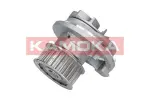 KAMOKA  Veepump T0069