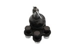 Kavo Parts Kande-/juhtliigend šarniir SBJ-1008