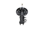 Kavo Parts Amort SSA-10002