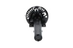 Kavo Parts Amort SSA-10011