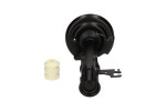 Kavo Parts Amort SSA-10576