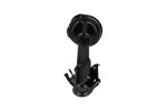 Kavo Parts Amort SSA-11282