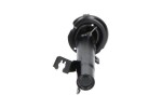 Kavo Parts Amort SSA-4506