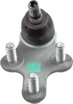 LEMFÖRDER  Kande-/juhtliigend 42436 01