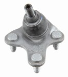 LEMFÖRDER  Kande-/juhtliigend 43485 01
