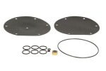 PRINS LPG 180/10020/Z / evaporator repair kit (reducer: vsi prins b/ c/ d)