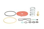 BRC LPG BRC/Z1200 / evaporator repair kit (spring, valve, reducer: genius mb)
