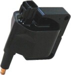 MAGNETI MARELLI  Süütepool 060717079012