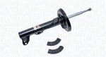 MAGNETI MARELLI Amort 352741070000