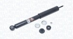 MAGNETI MARELLI Amort 357058070000