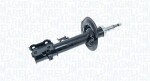 MAGNETI MARELLI Amort 357074070200