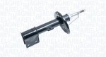 MAGNETI MARELLI Amort 357075070100