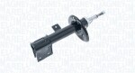 MAGNETI MARELLI Amort 357075070200