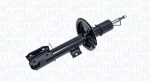 MAGNETI MARELLI Amort 357096070200