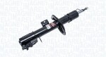 MAGNETI MARELLI Amort 357096070200