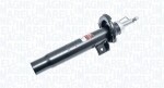 MAGNETI MARELLI  Amort 357461070000