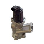 MAGNETI MARELLI EGR-klapp 571822112002