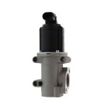 MAGNETI MARELLI EGR-klapp 571822112006
