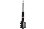 Magnum Technology Amort AGM024MT