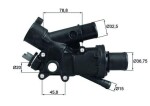 MAHLE Termostaat, Jahutusvedelik BEHR TH 43 83