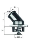 MAHLE Termostaat,  Jahutusvedelik BEHR TI 3 87