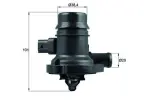 MAHLE Termostaat,  Jahutusvedelik BEHR TM 36 103