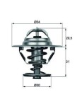 MAHLE Termostaat,  Jahutusvedelik BEHR TX 10 81D