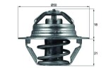 MAHLE Termostaat,  Jahutusvedelik BEHR TX 100 89D