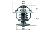 MAHLE  Termostaat,Jahutusvedelik BEHR TX 109 87D