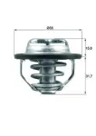 MAHLE  Termostaat,Jahutusvedelik TX 122 82
