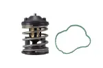 MAHLE  Termostaat,Jahutusvedelik BEHR TX 163 87D1