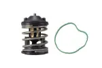 MAHLE  Termostaat,Jahutusvedelik BEHR TX 163 87D2