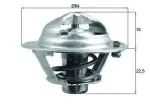 MAHLE  Termostaat,Jahutusvedelik BEHR TX 166 90D