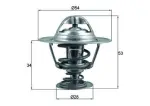 MAHLE Termostaat,  Jahutusvedelik BEHR TX 203 88D
