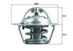 MAHLE Termostaat,  Jahutusvedelik BEHR TX 204 82D