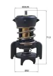 MAHLE  Termostaat,Jahutusvedelik BEHR TX 251 94D