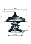 MAHLE  Termostaat,Jahutusvedelik BEHR TX 29 85D