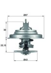 MAHLE Termostaat,  Jahutusvedelik BEHR TX 31 92D S