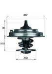 MAHLE  Termostaat,Jahutusvedelik BEHR TX 34 82D