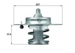 MAHLE Termostaat, Jahutusvedelik BEHR TX 60 83D