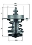 MAHLE Termostaat,  Jahutusvedelik BEHR TX 69 79