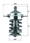MAHLE Termostaat,  Jahutusvedelik BEHR TX 70 82